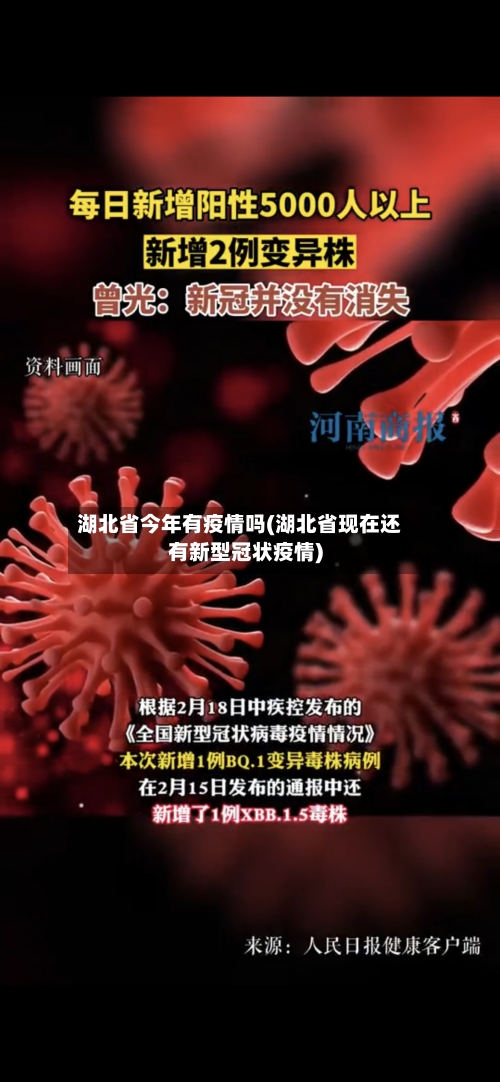 湖北省今年有疫情吗(湖北省现在还有新型冠状疫情)-第2张图片
