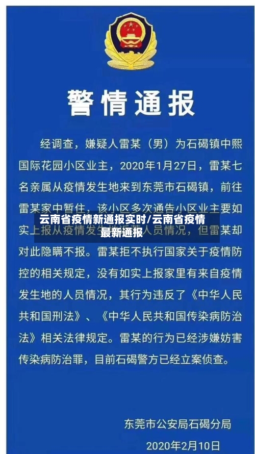 云南省疫情新通报实时/云南省疫情最新通报-第3张图片