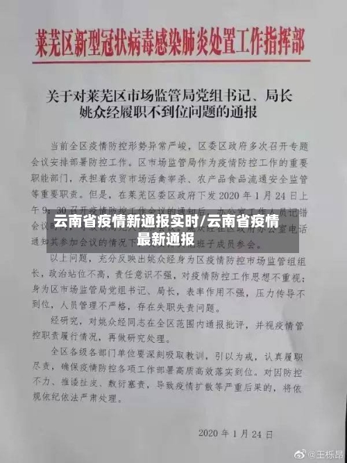 云南省疫情新通报实时/云南省疫情最新通报-第1张图片