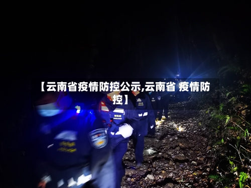 【云南省疫情防控公示,云南省 疫情防控】-第2张图片