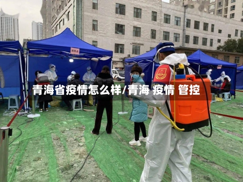 青海省疫情怎么样/青海 疫情 管控-第1张图片
