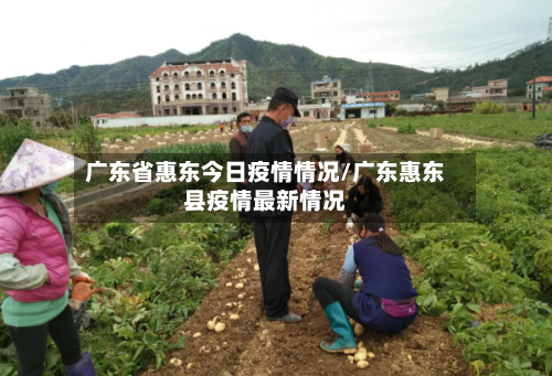 广东省惠东今日疫情情况/广东惠东县疫情最新情况-第2张图片