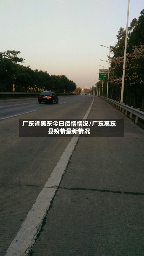 广东省惠东今日疫情情况/广东惠东县疫情最新情况-第3张图片