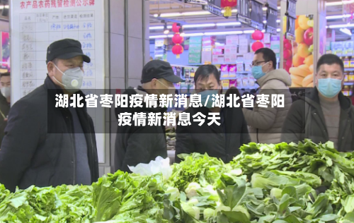 湖北省枣阳疫情新消息/湖北省枣阳疫情新消息今天-第1张图片