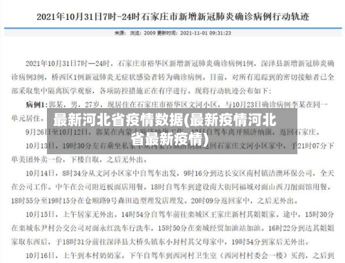 最新河北省疫情数据(最新疫情河北省最新疫情)-第3张图片