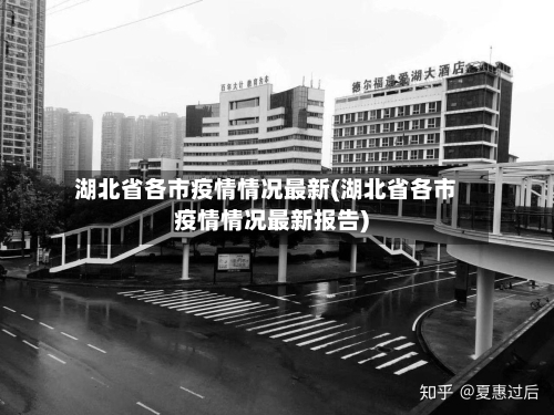 湖北省各市疫情情况最新(湖北省各市疫情情况最新报告)-第2张图片