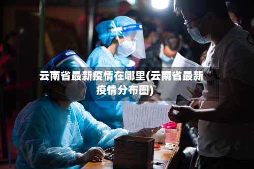 云南省最新疫情在哪里(云南省最新疫情分布图)-第3张图片