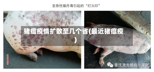 猪瘟疫情扩散至几个省(最近猪瘟疫)-第1张图片