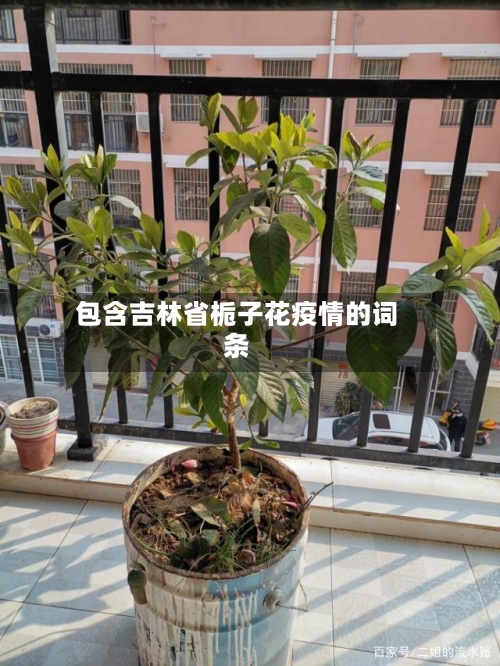 包含吉林省栀子花疫情的词条-第1张图片
