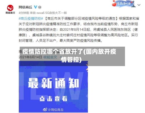 疫情防控哪个省放开了(国内放开疫情管控)-第1张图片