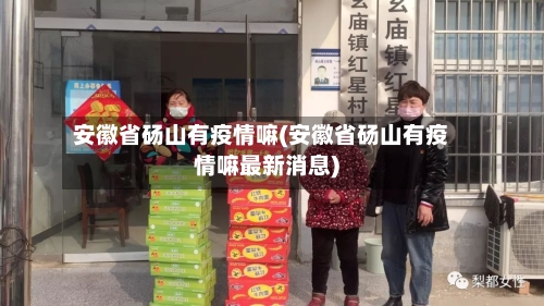 安徽省砀山有疫情嘛(安徽省砀山有疫情嘛最新消息)-第2张图片