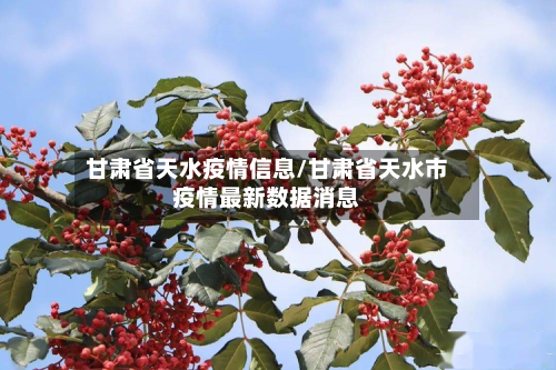 甘肃省天水疫情信息/甘肃省天水市疫情最新数据消息-第3张图片
