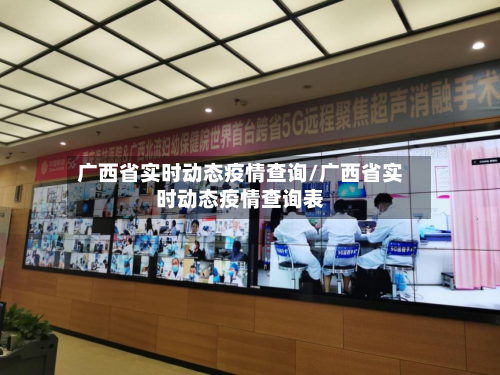 广西省实时动态疫情查询/广西省实时动态疫情查询表-第3张图片
