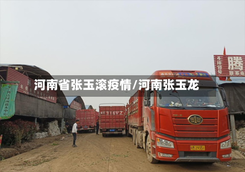 河南省张玉滚疫情/河南张玉龙-第1张图片