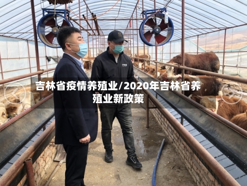 吉林省疫情养殖业/2020年吉林省养殖业新政策-第3张图片