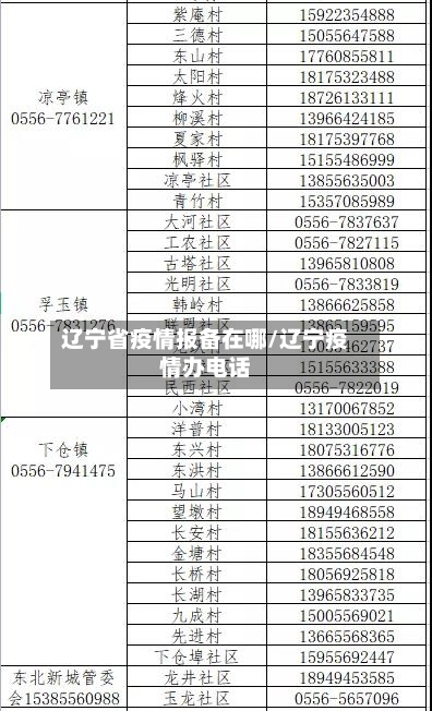辽宁省疫情报备在哪/辽宁疫情办电话-第1张图片