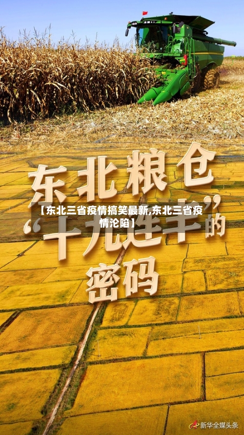 【东北三省疫情搞笑最新,东北三省疫情沦陷】-第2张图片