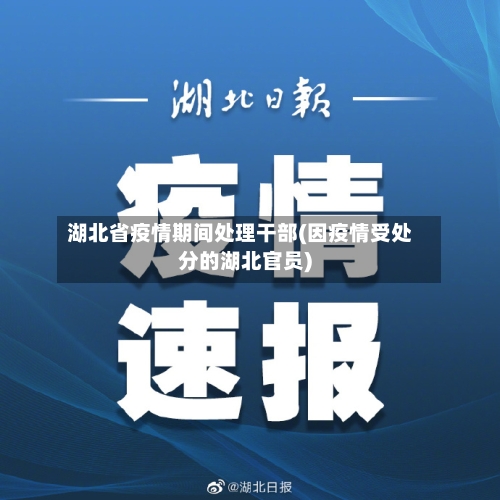 湖北省疫情期间处理干部(因疫情受处分的湖北官员)-第1张图片