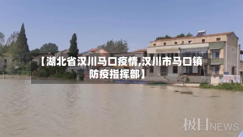 【湖北省汉川马口疫情,汉川市马口镇防疫指挥部】-第2张图片