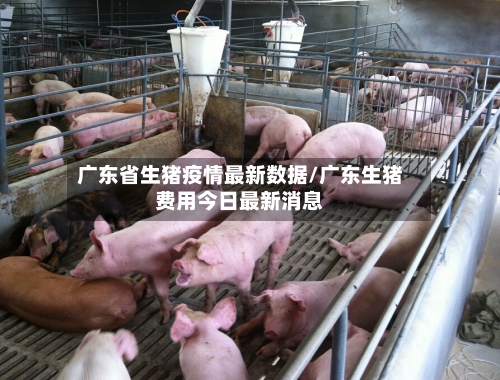 广东省生猪疫情最新数据/广东生猪费用今日最新消息-第2张图片