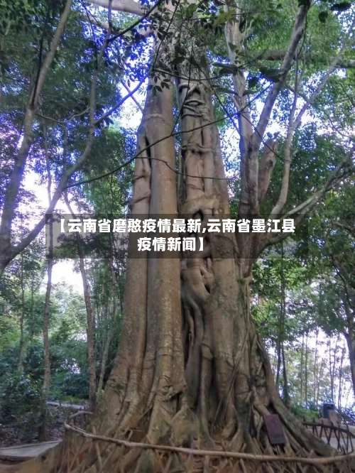 【云南省磨憨疫情最新,云南省墨江县疫情新闻】-第1张图片