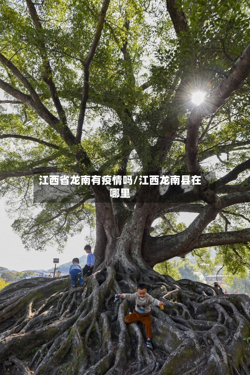 江西省龙南有疫情吗/江西龙南县在哪里-第1张图片