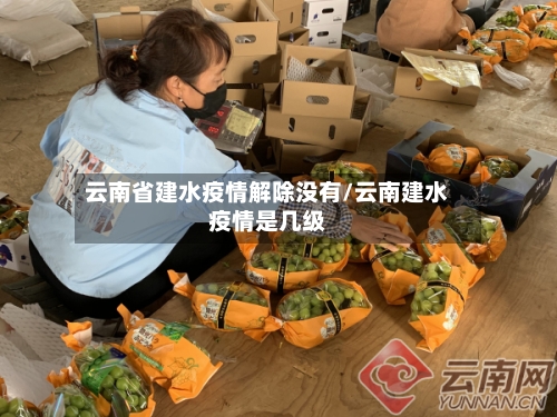 云南省建水疫情解除没有/云南建水疫情是几级-第1张图片