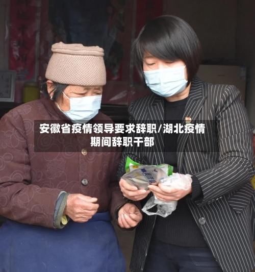 安徽省疫情领导要求辞职/湖北疫情期间辞职干部-第2张图片