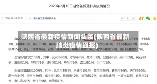 陕西省最新疫情新闻头条(陕西省最新肺炎疫情通报)-第2张图片