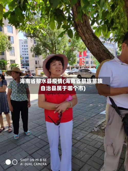 海南省黎水县疫情(海南省黎族苗族自治县属于哪个市)-第3张图片
