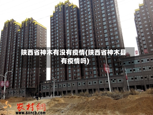 陕西省神木有没有疫情(陕西省神木县有疫情吗)-第1张图片