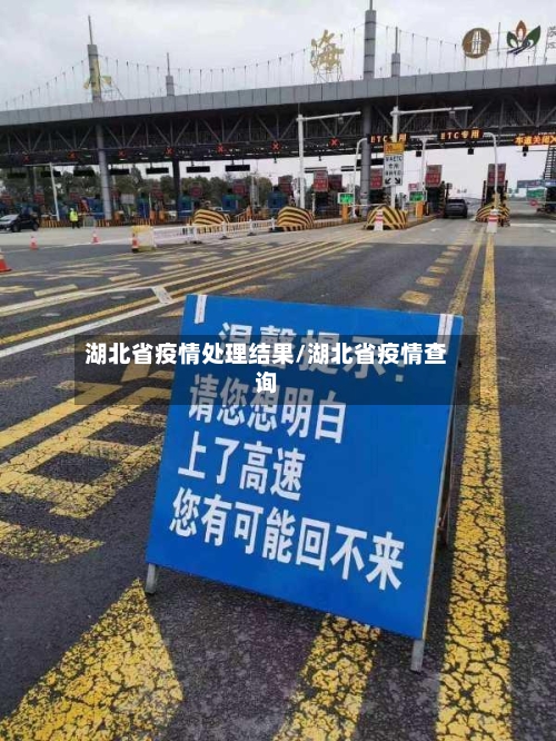 湖北省疫情处理结果/湖北省疫情查询-第2张图片