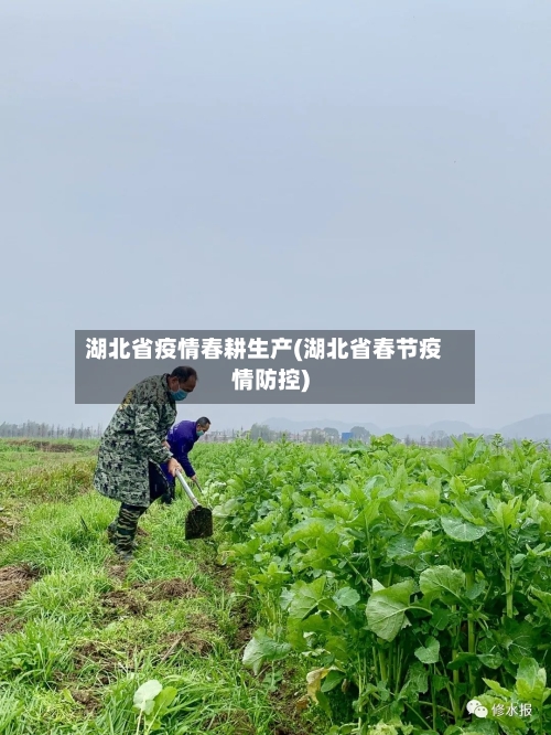 湖北省疫情春耕生产(湖北省春节疫情防控)-第2张图片