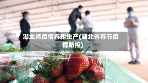 湖北省疫情春耕生产(湖北省春节疫情防控)-第3张图片