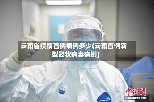 云南省疫情首例病例多少(云南首例新型冠状病毒病例)-第2张图片
