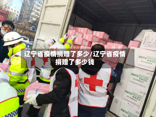 辽宁省疫情捐赠了多少/辽宁省疫情捐赠了多少钱-第1张图片