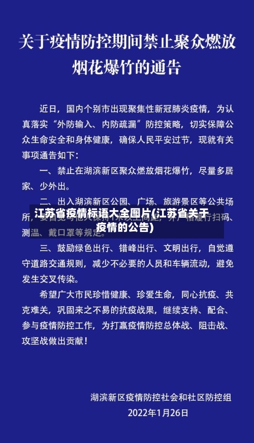 江苏省疫情标语大全图片(江苏省关于疫情的公告)-第3张图片
