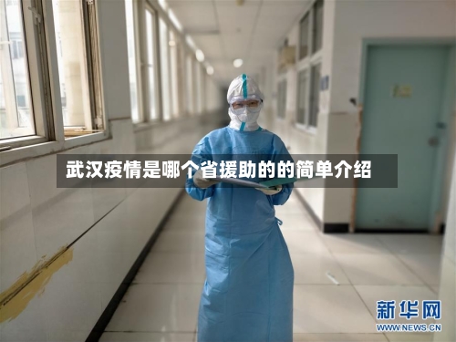 武汉疫情是哪个省援助的的简单介绍-第2张图片