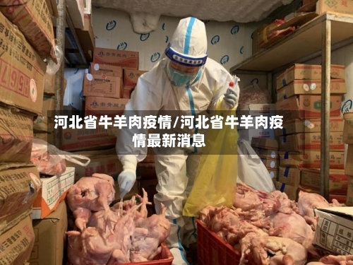 河北省牛羊肉疫情/河北省牛羊肉疫情最新消息-第1张图片