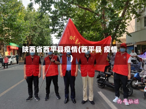 陕西省西平县疫情(西平县 疫情)-第2张图片
