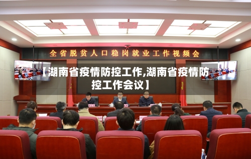 【湖南省疫情防控工作,湖南省疫情防控工作会议】-第2张图片