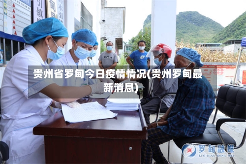 贵州省罗甸今日疫情情况(贵州罗甸最新消息)-第2张图片