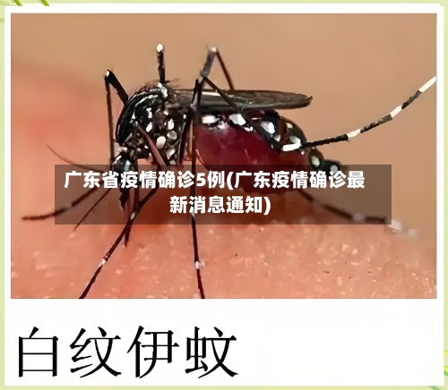 广东省疫情确诊5例(广东疫情确诊最新消息通知)-第1张图片