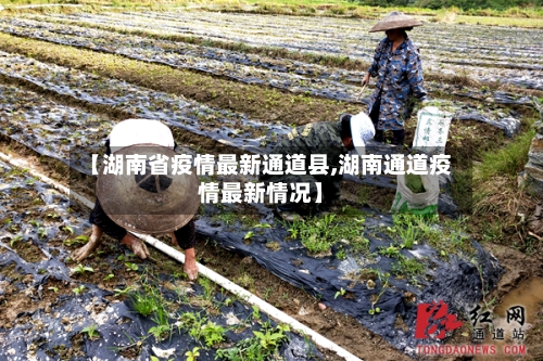 【湖南省疫情最新通道县,湖南通道疫情最新情况】-第1张图片