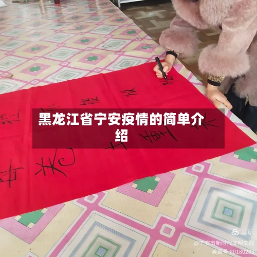 黑龙江省宁安疫情的简单介绍-第1张图片