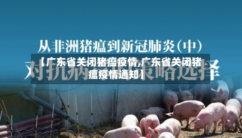 【广东省关闭猪瘟疫情,广东省关闭猪瘟疫情通知】-第1张图片