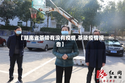 【湖南省茶陵有没有疫情,茶陵疫情报告】-第2张图片