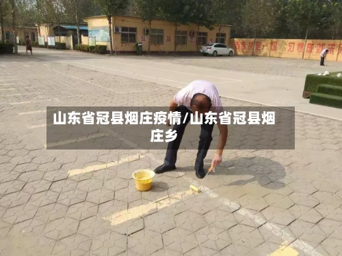 山东省冠县烟庄疫情/山东省冠县烟庄乡-第3张图片