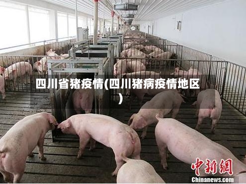 四川省猪疫情(四川猪病疫情地区)-第3张图片