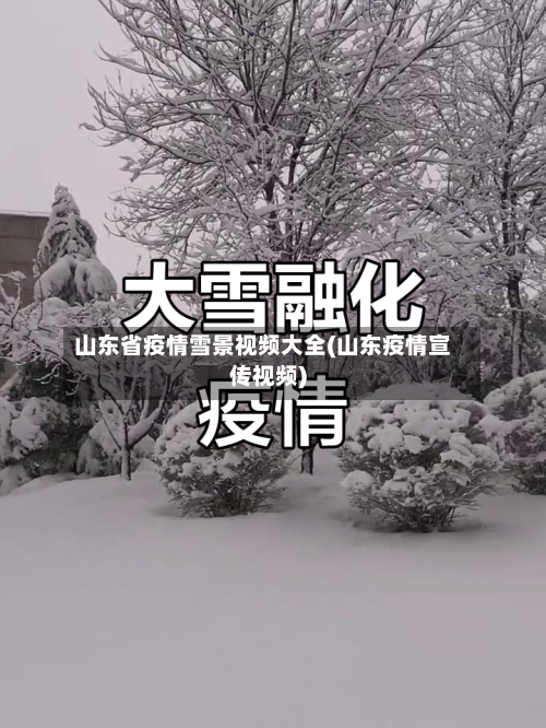 山东省疫情雪景视频大全(山东疫情宣传视频)-第1张图片